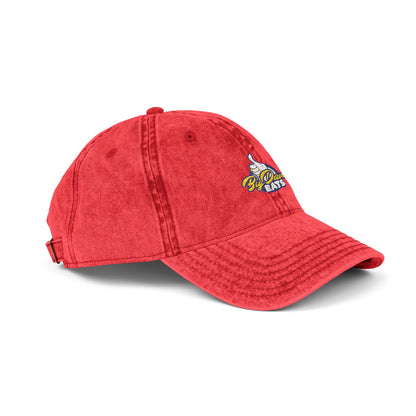 Vintage Embroidered Cap, Retro Cotton Hat, Casual Wear Accessory, Unisex Gift for Outdoors, Baseball Events, Summer Fashion
